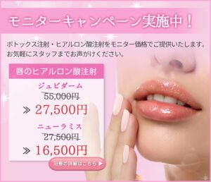 唇ヒアルモニター