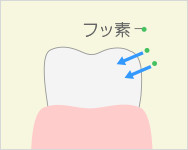 フッ素塗布の流れ2