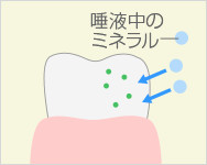 フッ素塗布の流れ3