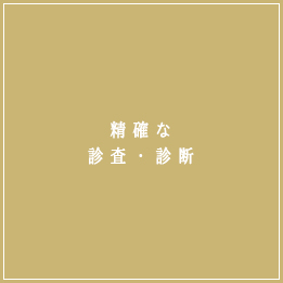 精確な診査・診断